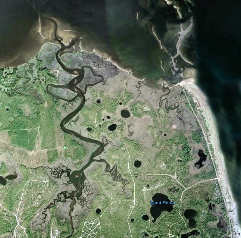 Click to See Next Image